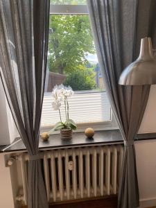 Alte Schule 3, Urlaub wo einst die Dorfschule war