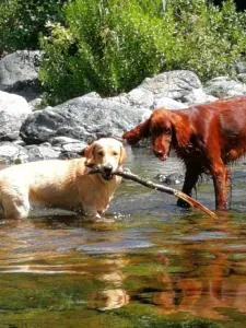 Chez Christine 2 - Vara Superiore