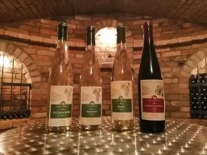 Vinný sklep u Malíků