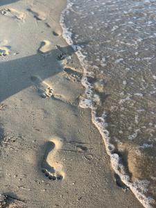 Аппартаменты в отеле Променад с кухней