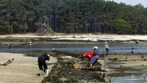 Casa al lado del mar - Campanario