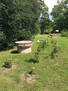 Viesu Nams Jūras sapņi