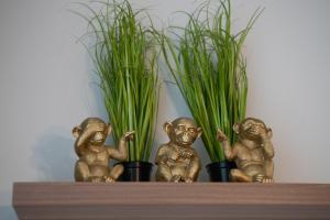 Apartament Zielony Okrzei Garaż Targi