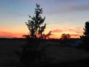 Loft Unterkunft in Hügelsheim - 伊费茨海姆