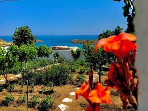 Ritsa’s Home Patmos Greece