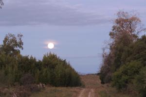 El Rancho de Chispero