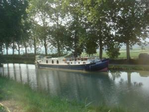 Bateaux-hotels peniche Le Black Mountain : photos des chambres