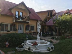 Casa Darius Costinesti