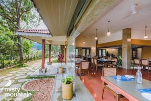 Misty Mountain Experience