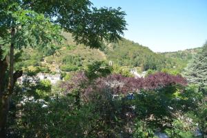 Maisons de vacances Gite Mont Lozere : photos des chambres