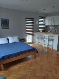 San apartments - Fall in love with Vrnjačka Banja