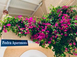 Fedra Apartments Poros-Island Greece