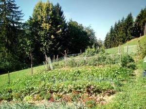 Sejours chez l'habitant L'Aire du temps Savoyard : photos des chambres