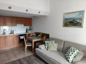 Apartament przy plaży - 库兹尼卡