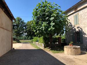 Maisons de vacances Gite a la Ferme de Verdurette Cordes-sur-Ciel : photos des chambres