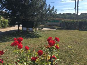 Maisons de vacances JARDIN DE CAMPAGNE : photos des chambres