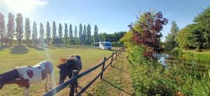 Maisons d'hotes Le pressoir de gisay : Studio Familial