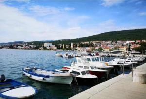 Apartmani Đina 22