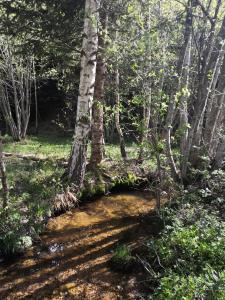 Sky Cabin Apartments - FREE GARAGE