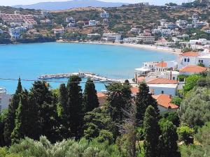 Villa Dora Studios 1 Andros Greece