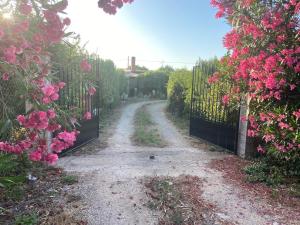 Casa Vacanze Gli Oleandri, Vivi l'Autentica Casa di Campagna con Piscina img17