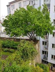 KEY Accommodation Pellicova