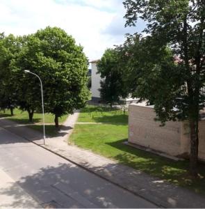 Alytus Ziburio studio