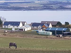 Pleasant Point Holiday Cottages