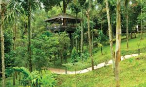 The Woods Resorts Wayanad