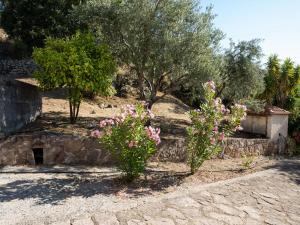 Pleasing Apartment in Lesbos Island with Swimming Pool Lesvos Greece