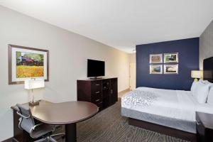 King Room with Limited View - Non-Smoking room in La Quinta by Wyndham Palestine