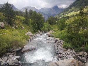 Chalets Chalet calme : photos des chambres