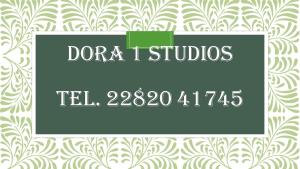 Villa Dora Studios 1 Andros Greece