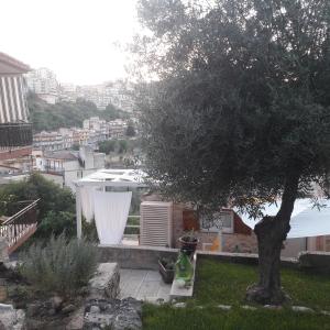 Casa Sabir