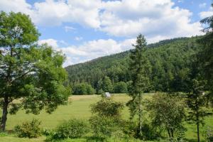 Apartament Pod Reglami