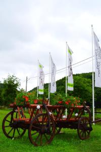 Domeniul Poiana Ursului