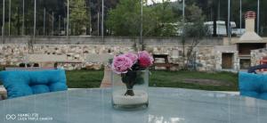 GREEN and BLUE VILLA