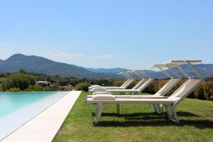 Albero Capovolto img5