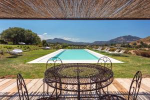 Albero Capovolto img21