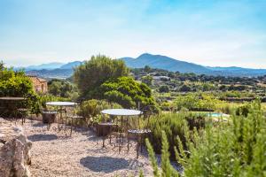 Albero Capovolto img23