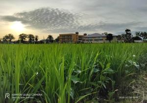 Soo Guan Villa