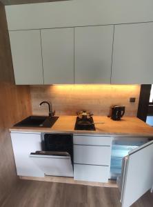 Apartamenty Gajówka- rowery, plac zabaw, sauna, jacuzzi