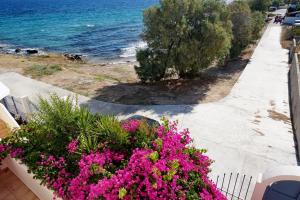 The Beachhouse Apartments Aegina Greece