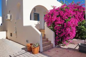 The Beachhouse Apartments Aegina Greece