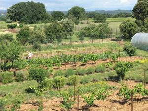 Maisons de vacances LA RESPELIDANE : photos des chambres