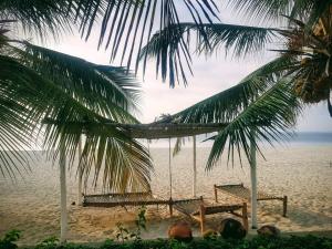 Life Resort St. Thomas Royal Palm