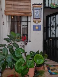 Ideal Apartamento Tipo Loft en Triana Sevilla Wifi