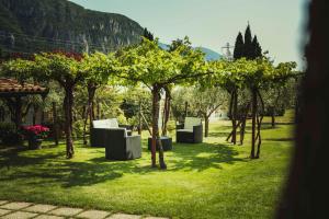 Az. Agr. Tenuta La Casetta