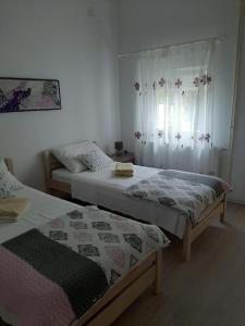 Apartment Maslina 