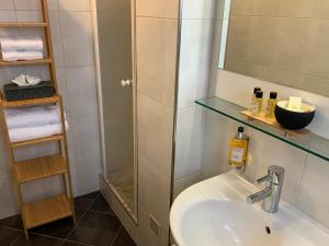 Hotels Hotel L'Auberge Alsacienne : Chambre Double Confort avec Douche